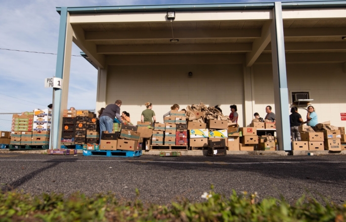 Feeding Tampa Bay With Food Compassion And Community Support